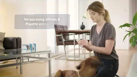 Vídeo sobre FRONTLINE Solução Spot on K para gatos, 3 unidades