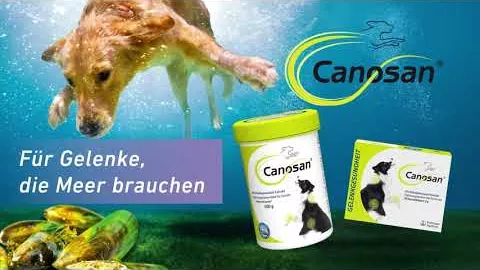 Vídeo sobre CANOSAN Comprimidos mastigáveis vet., 30 unid