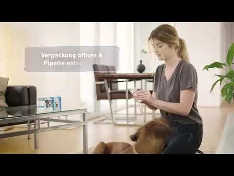 Vídeo sobre FRONTLINE Solução Spot on K para gatos, 6 unidades