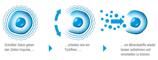 BIOCHEMIE DHU 3 Ferrum phosphoricum D 12 Comprimidos, 420 Cápsulas