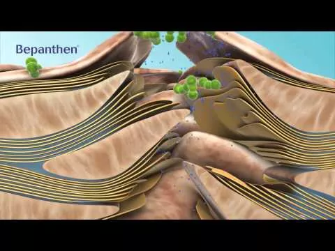 Vídeo sobre Creme Bepanthen Sensiderm, 20 g