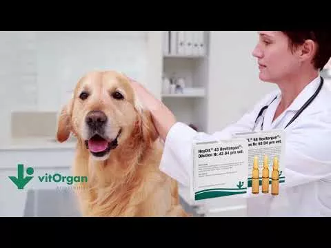 Vídeo sobre NeyDIL® No. 68 Revitorgan® D4 pro veterinário.Ampolas, 5X2 ml