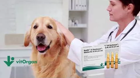 Vídeo sobre NeyDIL® No. 68 Revitorgan® D4 pro veterinário.Ampolas, 5X2 ml