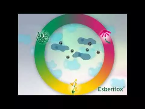Vídeo sobre Esberitox® Compact para resfriados, 60 unid