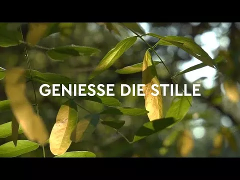 Vídeo sobre Cristais de banho Kneipp, banho florestal, pinheiro, 600 g