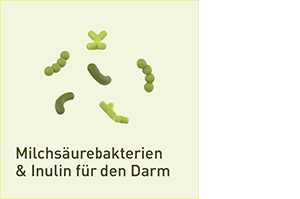 NUPURE probaflor probiotics for intestinal rehabilitation Kps, 90 unid