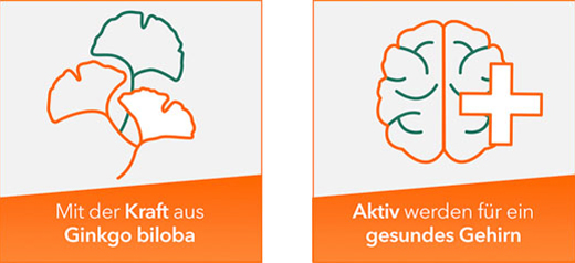 GINKOBIL-ratiopharm 240 mg comprimidos revestidos por película, 30 unid