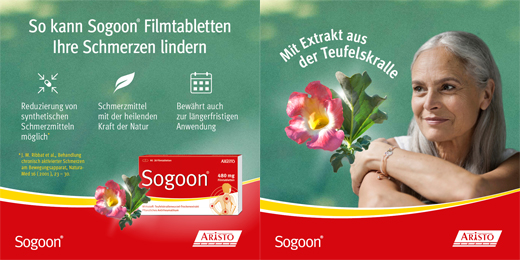 SOGOON 480 mg comprimidos revestidos por película, 20 unidades