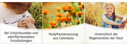 CALENDULA Pomada para feridas, 25 g