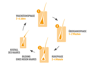 BIO-H-TIN Hair Essentials Cápsulas de Micronutrientes, 90 Cápsulas