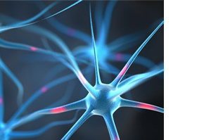NEUROPEP Cápsulas, 30 unidades