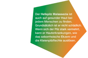 KETOZOLIN Champô 2%, 120 ml