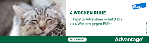 ADVANTAGE 80 mg para gatos grandes e coelhos ornamentais de grande porte, 4X0,8 ml