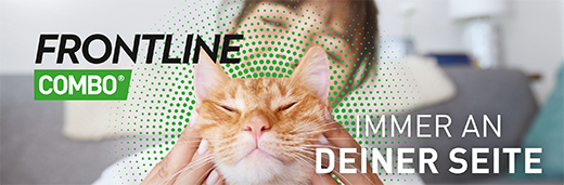 FRONTLINE Combo Spot on cat solução para aplicação na pele, 6 unid