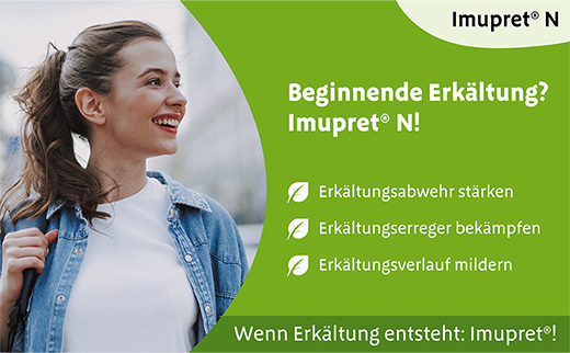 IMUPRET N Comprimidos revestidos, 100 unid