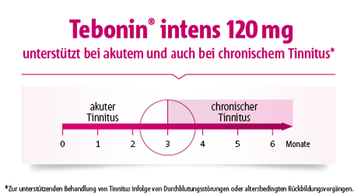 TEBONIN intens 120 mg comprimidos revestidos por película, 120 unid