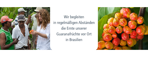 GUARANA BIO Pó puro, 100 g