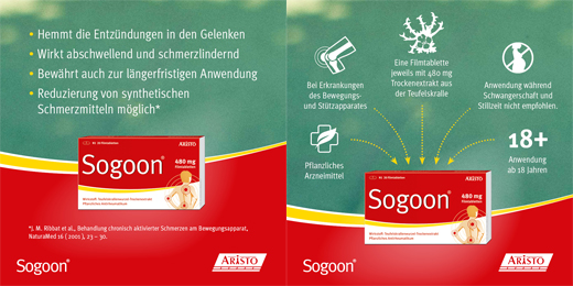 SOGOON 480 mg comprimidos revestidos por película, 20 unidades