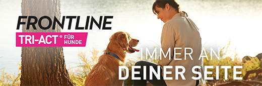 FRONTLINE Solução Tri-Act para ser gotejada em cães de 2-5 kg, 3 unidades