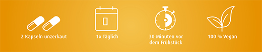 ALPHA LIPONSÄURE Cápsulas de 300 mg, 90 unid