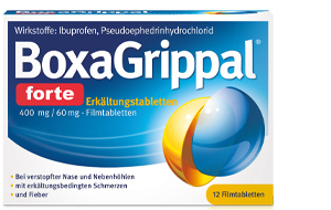 BOXAGRIPPAL forte cold stick. 400 mg/60 mg FTA, 12 unid
