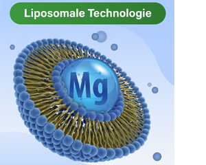 GLYCOWOHL vital liposomal magnesium high dose capsules, 120 pcs