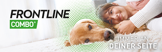 FRONTLINE Combo Spot para cão XL Solução de aplicação cutânea, 3 peças