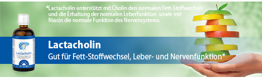 LACTACHOLIN Gotas do Dr. Jacob, 100 ml