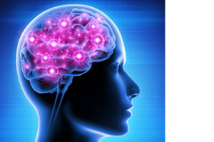 NEUROPEP Cápsulas, 30 unidades