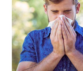 POLLIVAL Solução para pulverização nasal 1 mg/ml, 10 ml