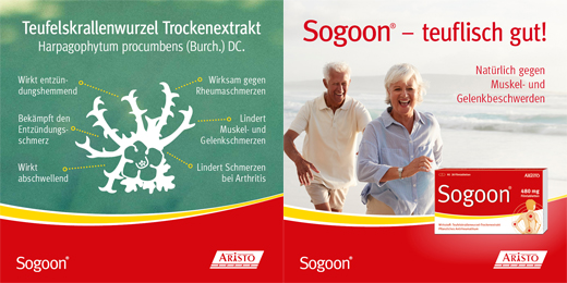 SOGOON 480 mg comprimidos revestidos por película, 20 unidades