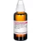 CORIANDRUM tintura mãe sativum D 1, 50 ml