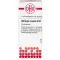 USTILAGO MAYDIS D 12 glóbulos, 10 g