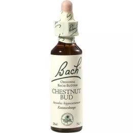 BACHBLÜTEN Gotas de Castanha, 20 ml