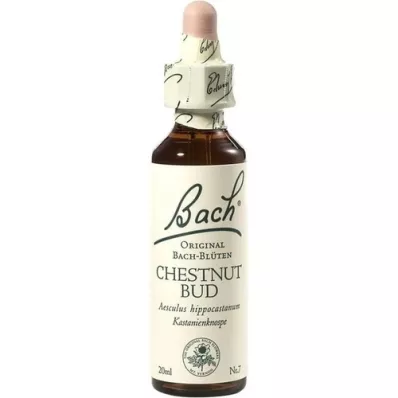 BACHBLÜTEN Gotas de Castanha, 20 ml BACHBLÜTEN Gotas de Castanha, 20 ml