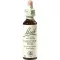 BACHBLÜTEN Gotas de Castanha, 20 ml
