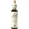 BACHBLÜTEN Gotas de azevinho, 20 ml