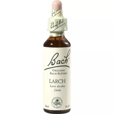 BACHBLÜTEN Gotas de lariço, 20 ml