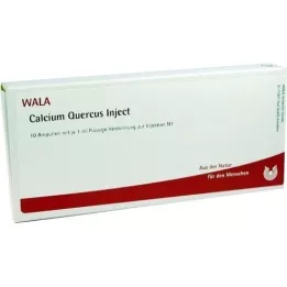 CALCIUM QUERCUS Injetar ampolas, 10X1 ml