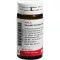SKORODIT KREISLAUF Globo velati, 20 g