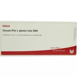VISCUM PINI e planta tota D 60 ampolas, 10X1 ml