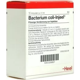 BACTERIUM COLI Ampolas Injeel, 10 unidades