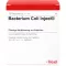 BACTERIUM COLI Ampolas Injeel, 10 unidades