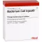 BACTERIUM COLI Ampolas Injeel, 10 unidades