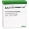 BELLADONNA HOMACCORD Ampolas, 10 unidades