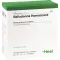 BELLADONNA HOMACCORD Ampolas, 100 unidades