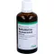 BELLADONNA HOMACCORD Gotas, 100 ml