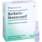 BERBERIS HOMACCORD Ampolas, 10 unidades