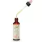 BACHBLÜTEN Gotas de Castanha Vermelha, 20 ml