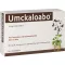 UMCKALOABO Comprimidos revestidos por película de 20 mg, 60 unidades